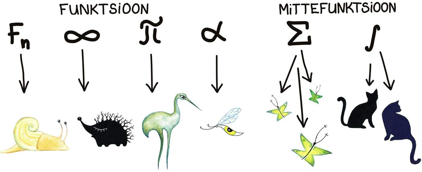 Funktsioon või mittefunktsioon?