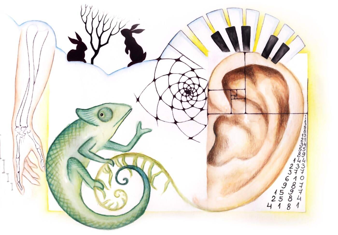 Fibonacci jadad <br>