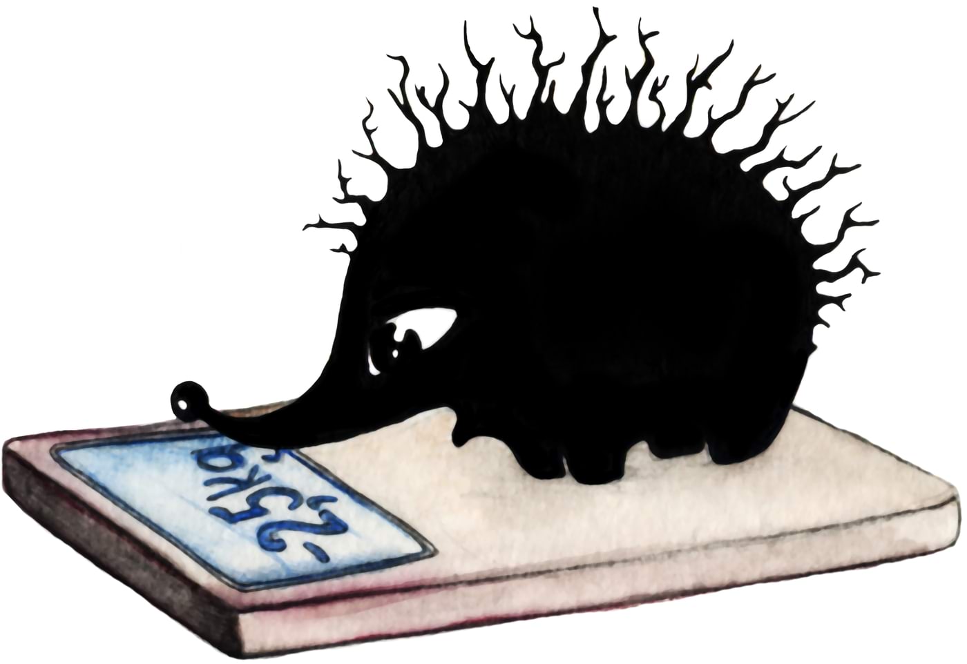 V6rrandi_lahendamine