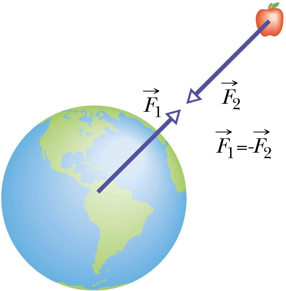 Newtoni 3. seadus - maakera ja õun