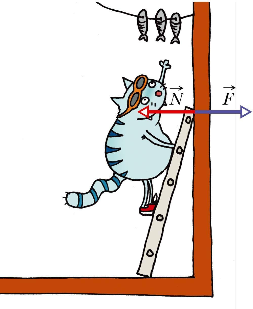 Rõhumisjõud ja toereaktsioon on võrdsed ning vastassuunalised