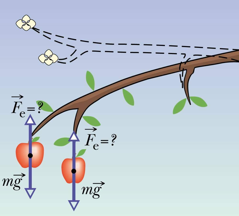Kuju muutumisel tekib elastsusjõud