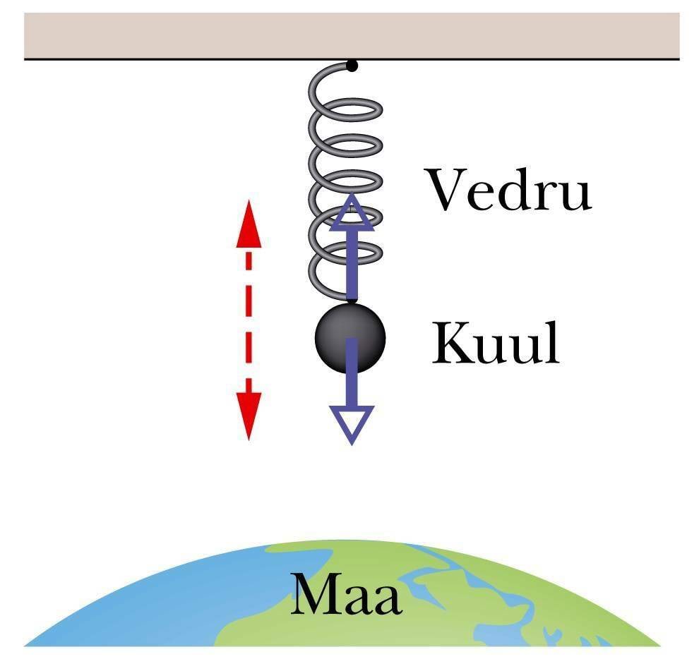 Võnkumine toimub süsteemi kuuluvate kehade vahel mõjuvate jõudude mõjul.