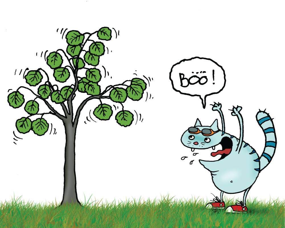 Värisevad haavalehed