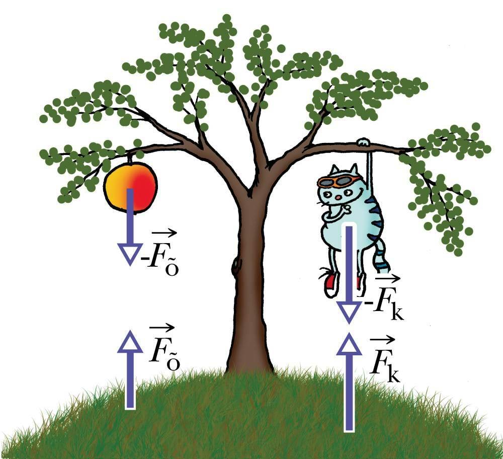 Potentsiaalne energia on vastastikmõju energia