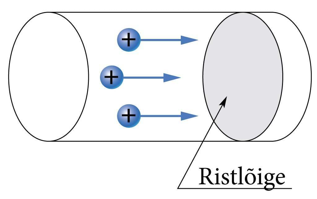 Juht ja tema ristlõige