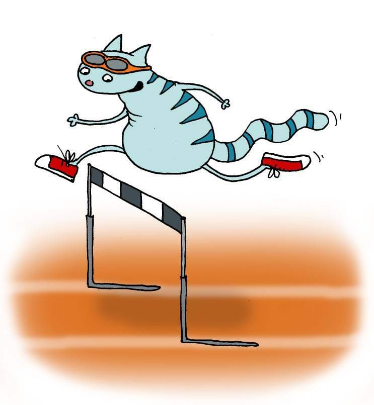 Kass hüppab üle barjääri