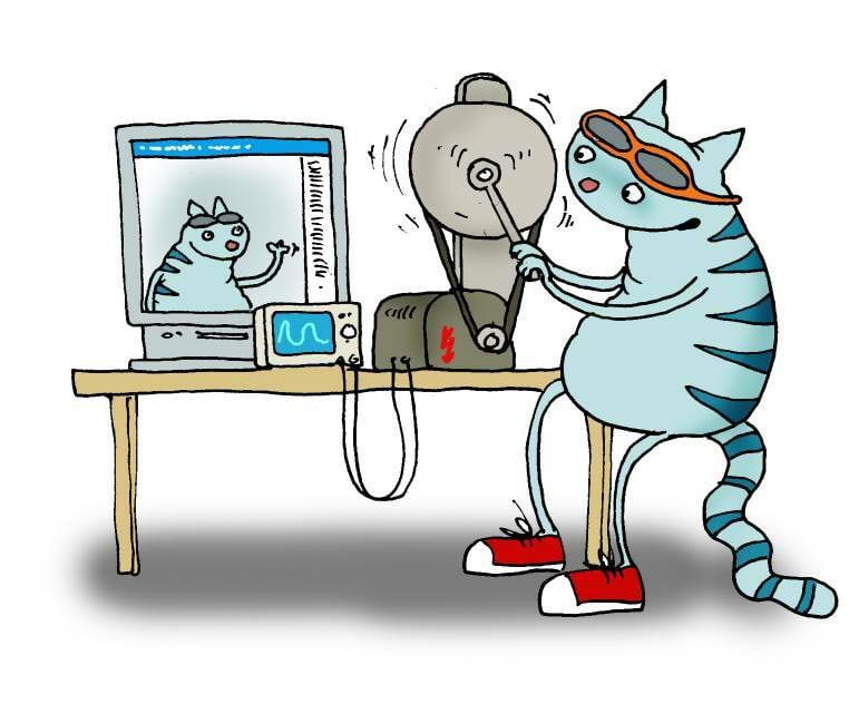 Kass väntab elektrigeneraatorit