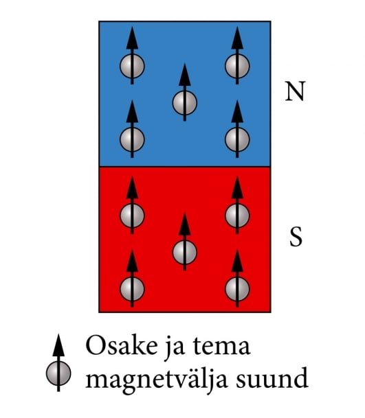 Osakeste omamagnetväljad püsimagnetis