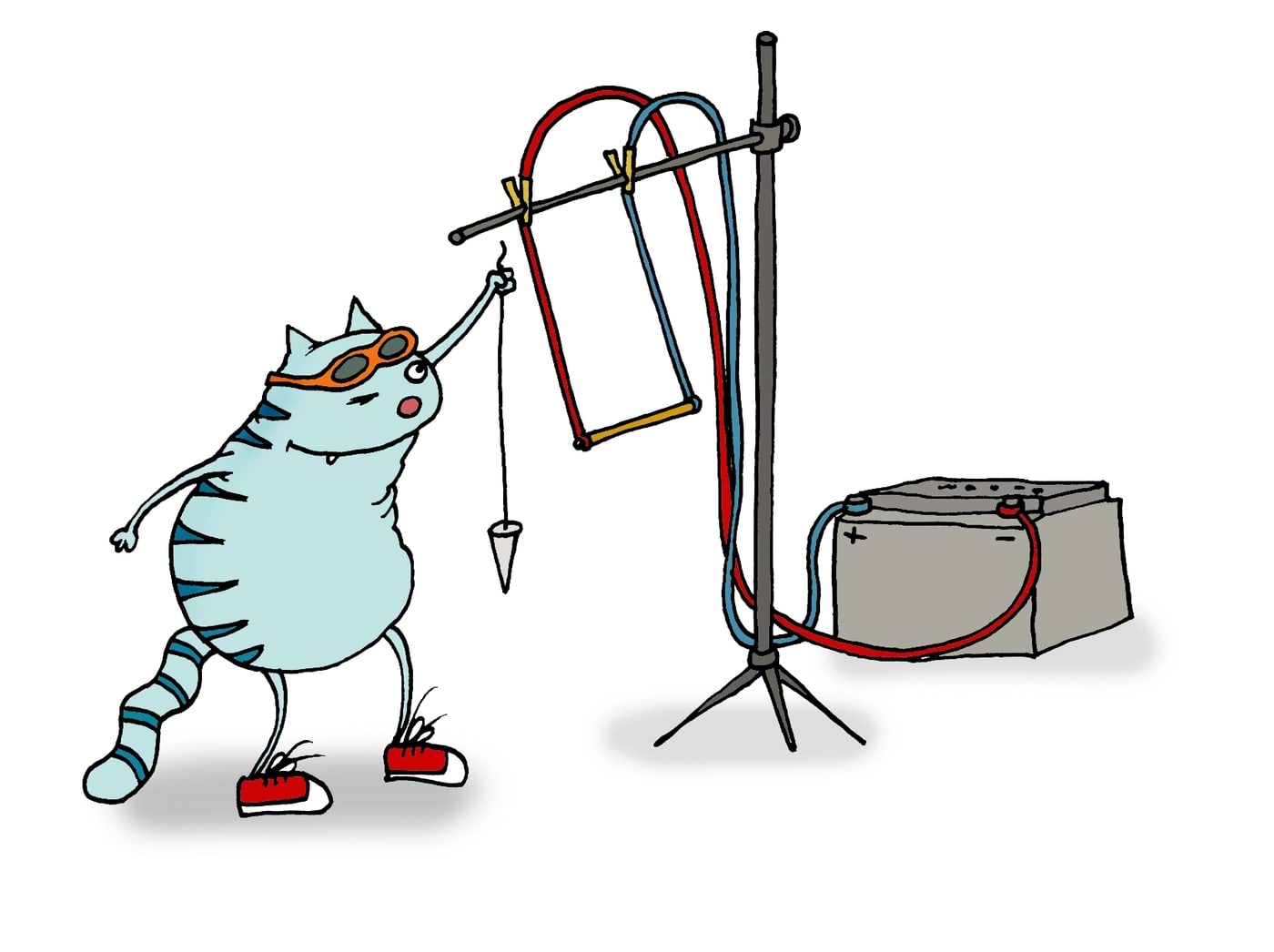 Kass uurib magnetvälja