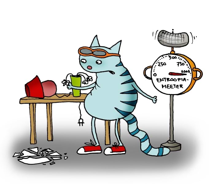 Kass ja entroopia meeter
