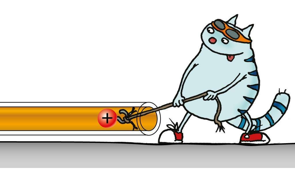 Kass sikutab juhtmes positiivset laengut edasi