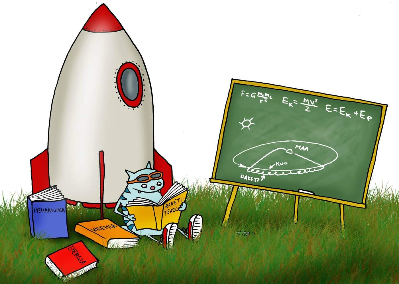 Kass uurib kosmoselaeva orbiiti