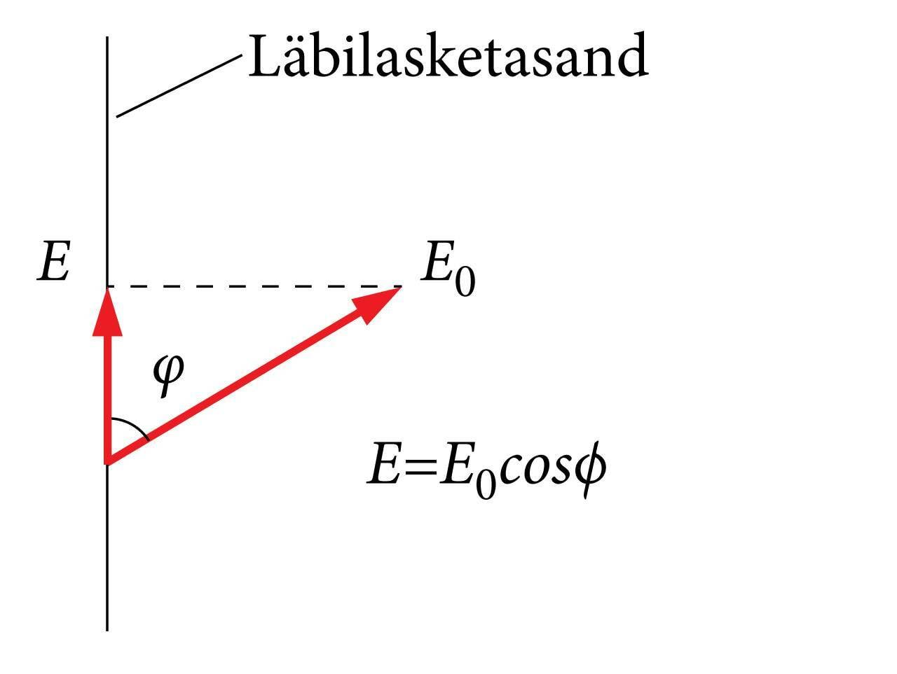 Valguslainete E-vektori ristsuunalised komponendid
