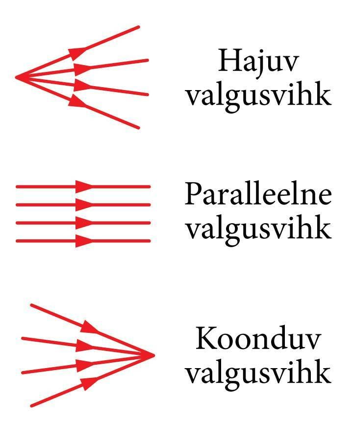 Valgusvihkude kõige olulisemad alaliigid