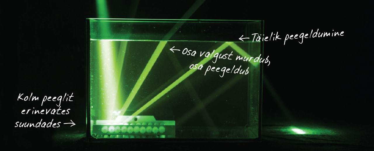 Valgus murdub veest välja