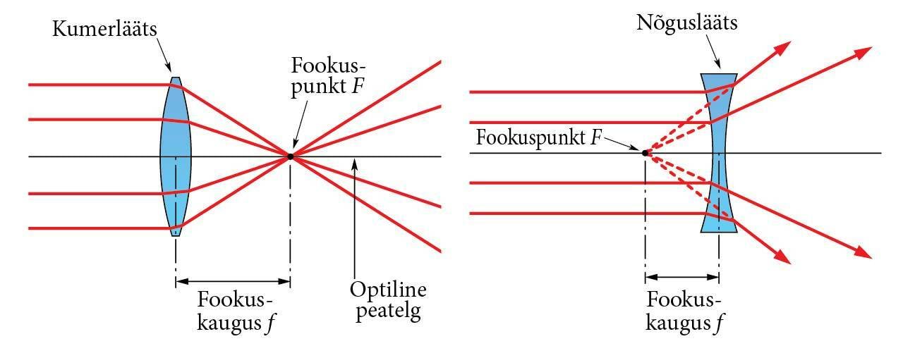 Convex lens and concave lens