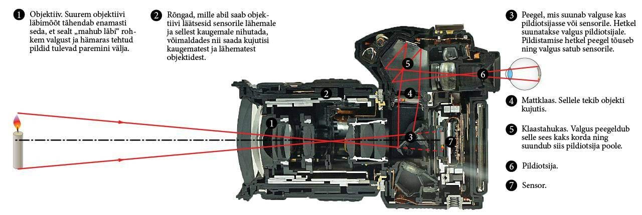 Peegelkaamera läbilõige