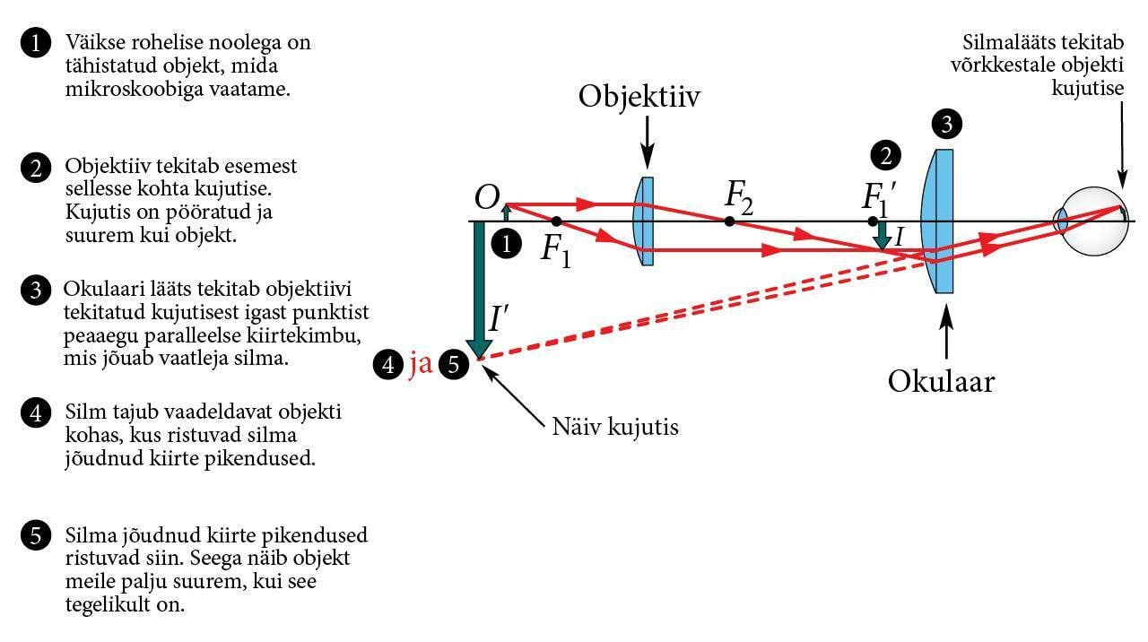 Mikroskoobi tööpõhimõte