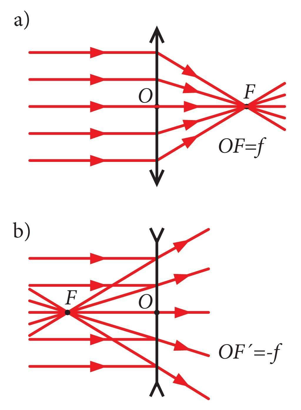 Valguskiirte käik kumer- ja nõgusläätses