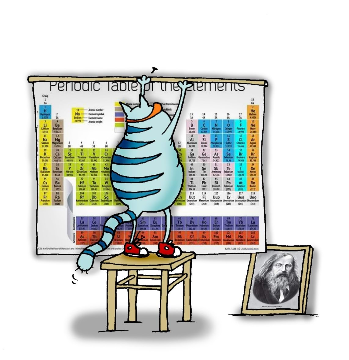 Kass riputab üles perioodilisustabeli