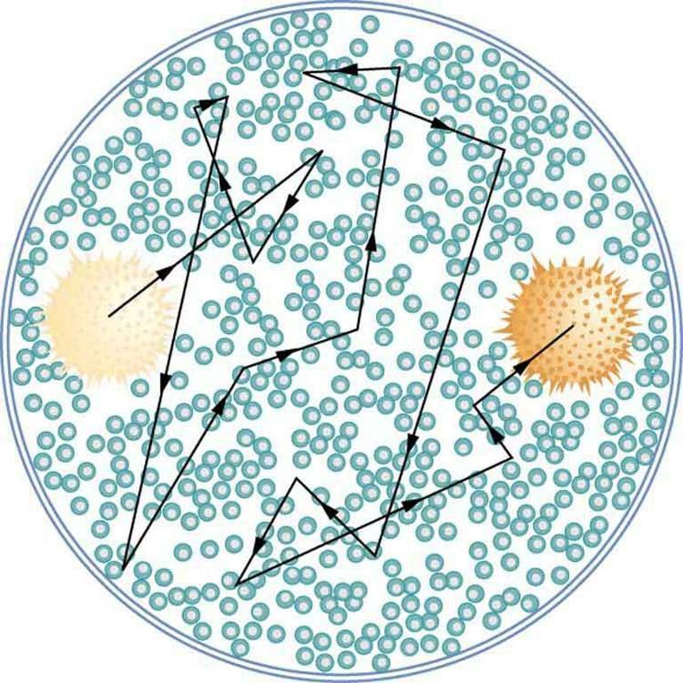 Õietolmu Browni liikumine