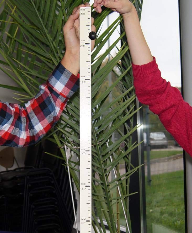 Ebatäpne joonlaud<br>