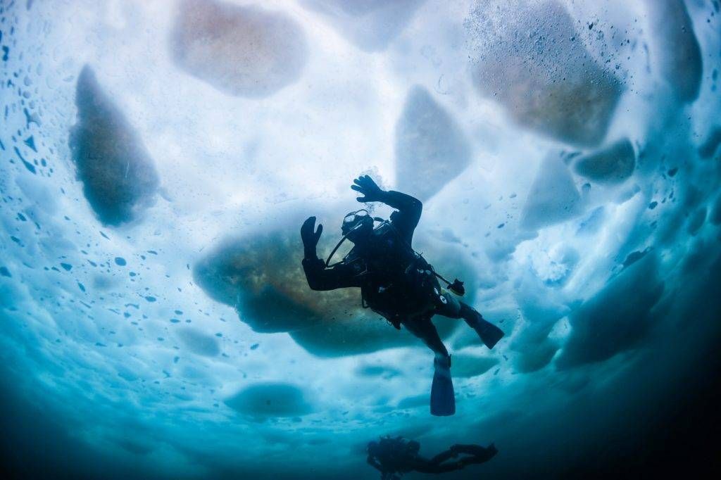 Water freezes from top to bottom