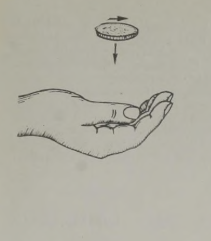 Kuidas liigub ülesvisatud pöörlev münt