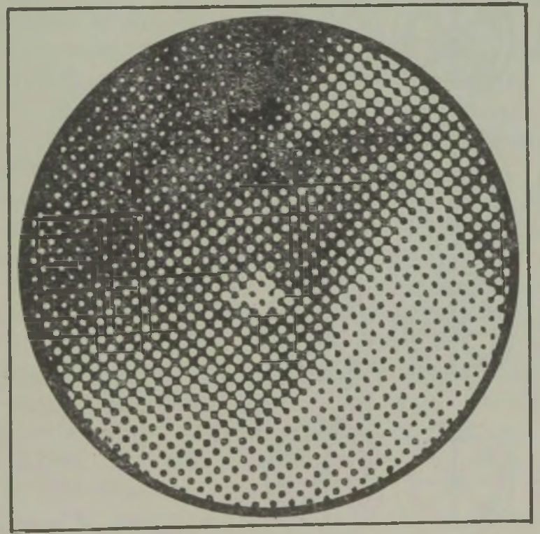 Vaadates seda võrku kaugelt, on kerge näha sellel silma