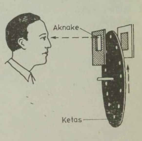 Pilt muutub ketta pöörlemisel nähtavaks