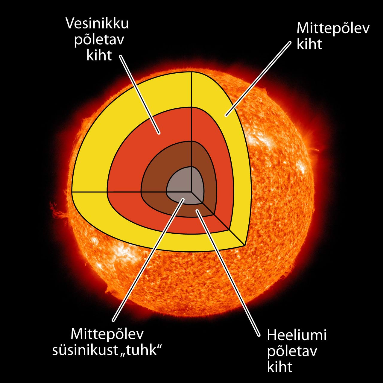 Päikesesarnase tähe siseehitus $\mathrm{He}$ põlemise faasis