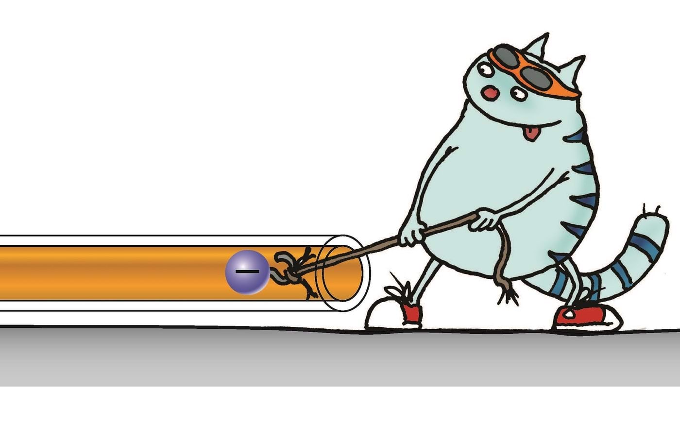 Kass sikutab juhtmes negatiivset laengut