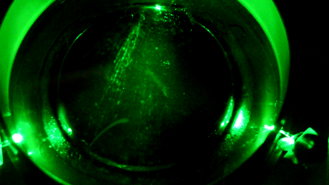 Kosmiline kiirgus ise tehtud udukambris