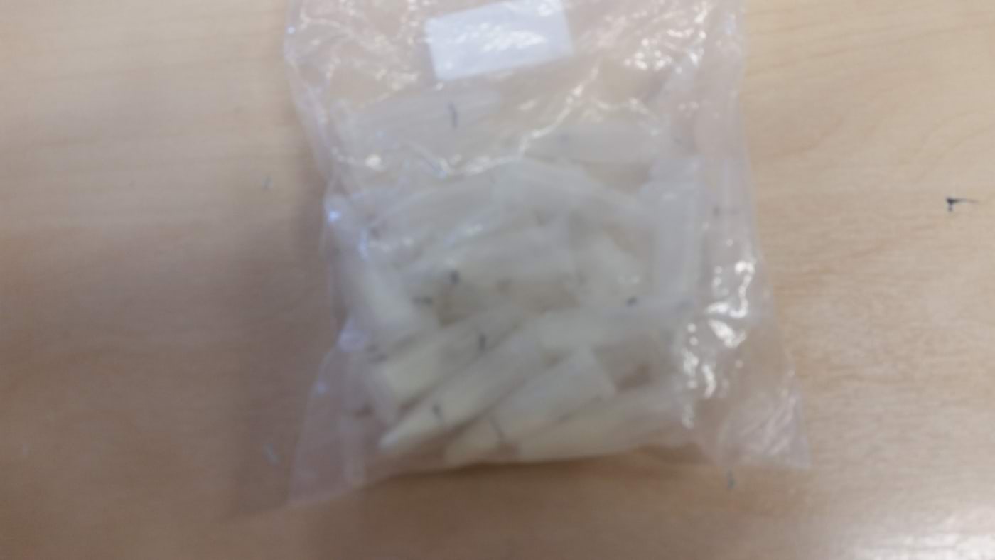 Teaduslaager 2018: fotoonika fosfoori portsjonid, valmis kasutamiseks