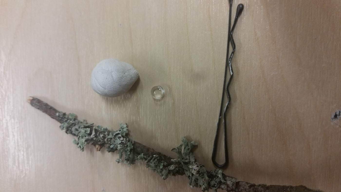 Teaduslaager 2018: fotoonika mobiilimikroskoobi komponendid