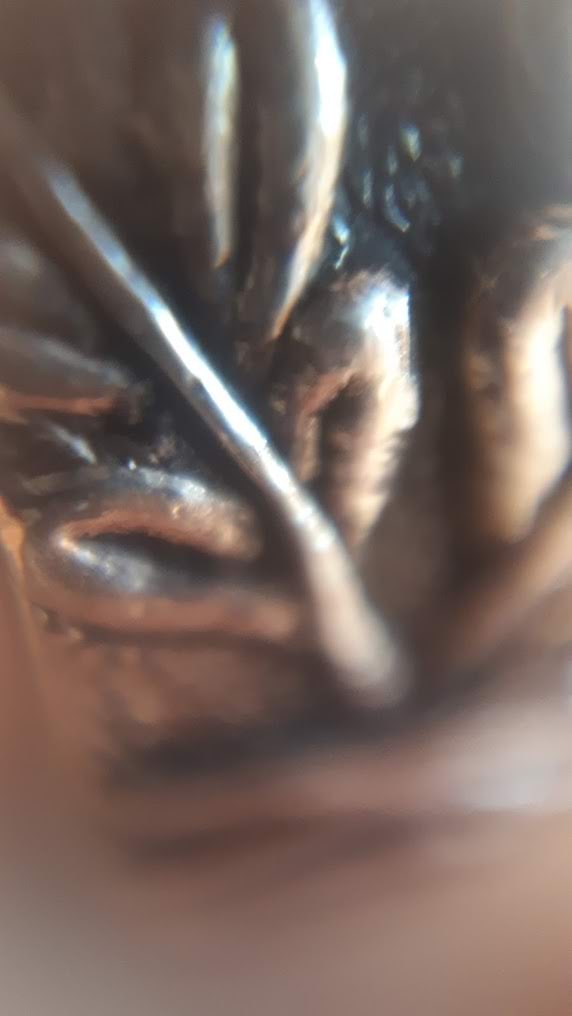 Kenneth sõrmus mobiilimikroskoobis