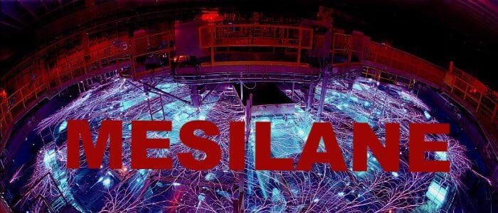 Mesilane nr 5 kaanepilt