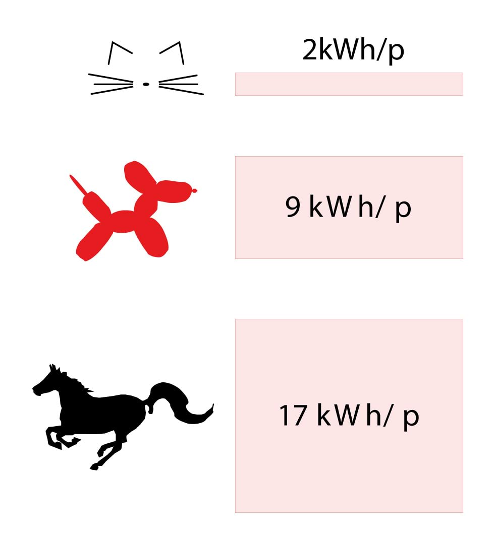 Lemmikloomade toiduks kuluv energia