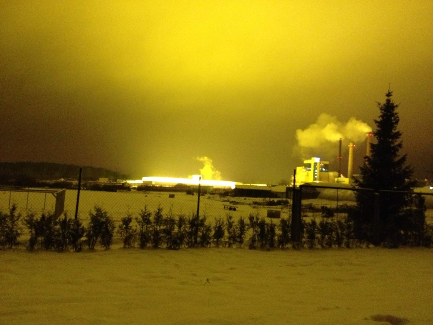 Luunja kasvuhoonete kuma