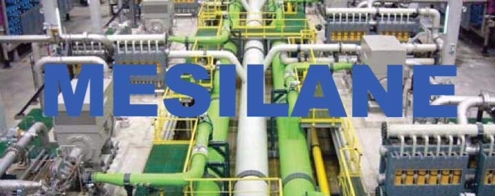 Mesilan 1/7 kaanepilt