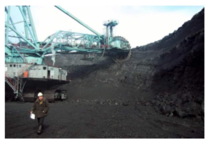 Vanu lehti sööv Caterpillar