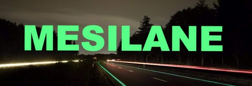 Mesilane 8 kaanepilt