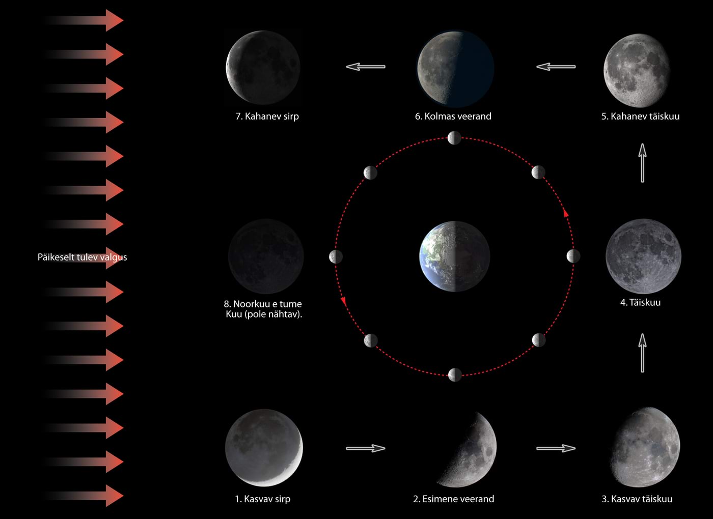 Kuu faasid - mida me öösel näeme.