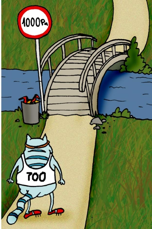 Kass, kas võib minna üle silla