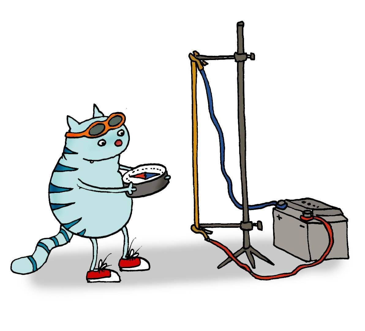 Kass ja Ampère tsirkulatsiooniseadus