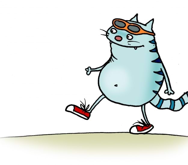 Kass jalutab, mõõdab sammu