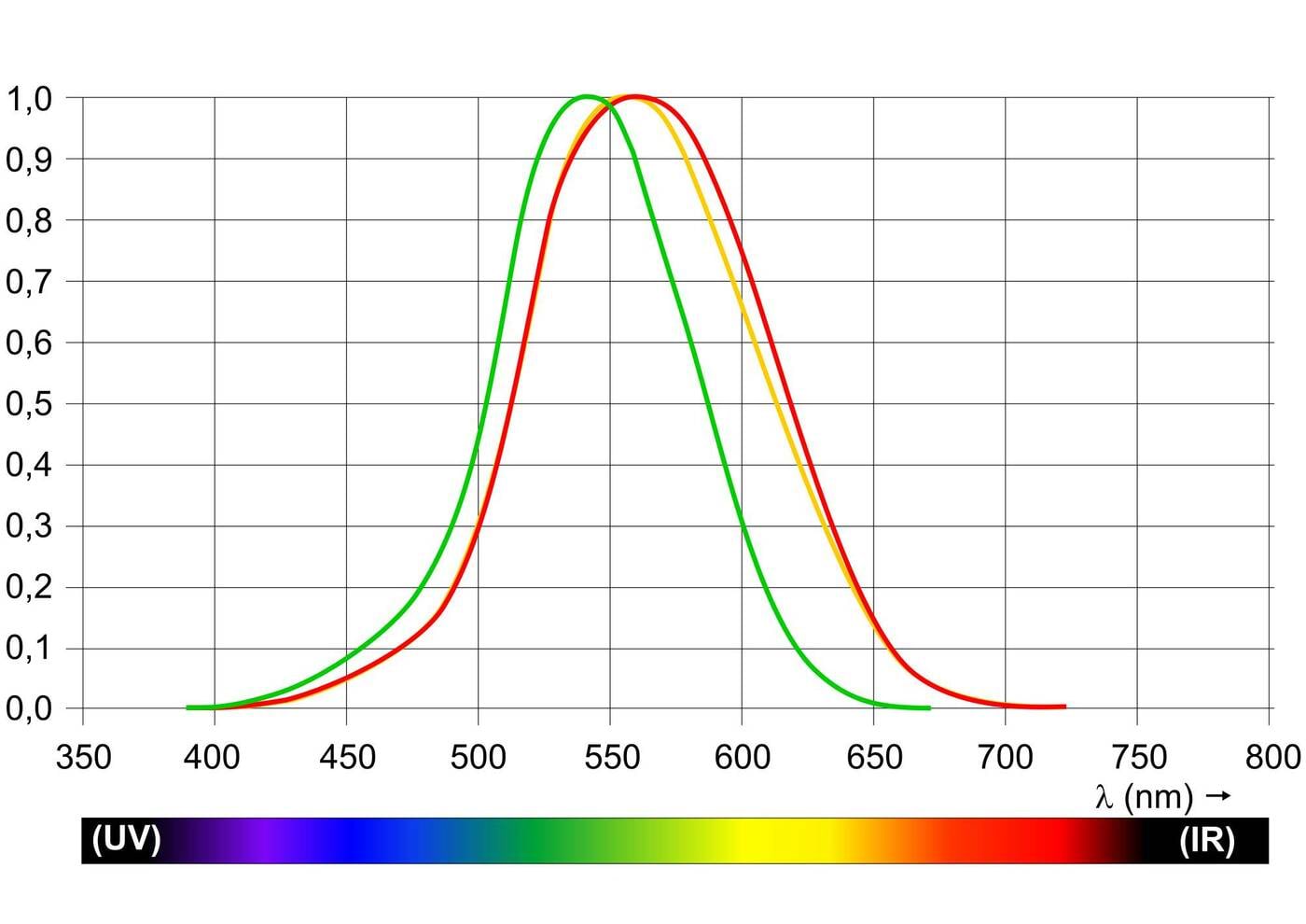 Silma tundikkuse graafik