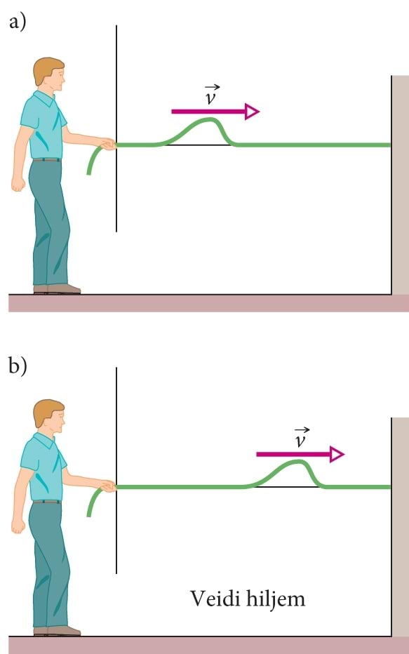 Laine edasikandumine ruumis