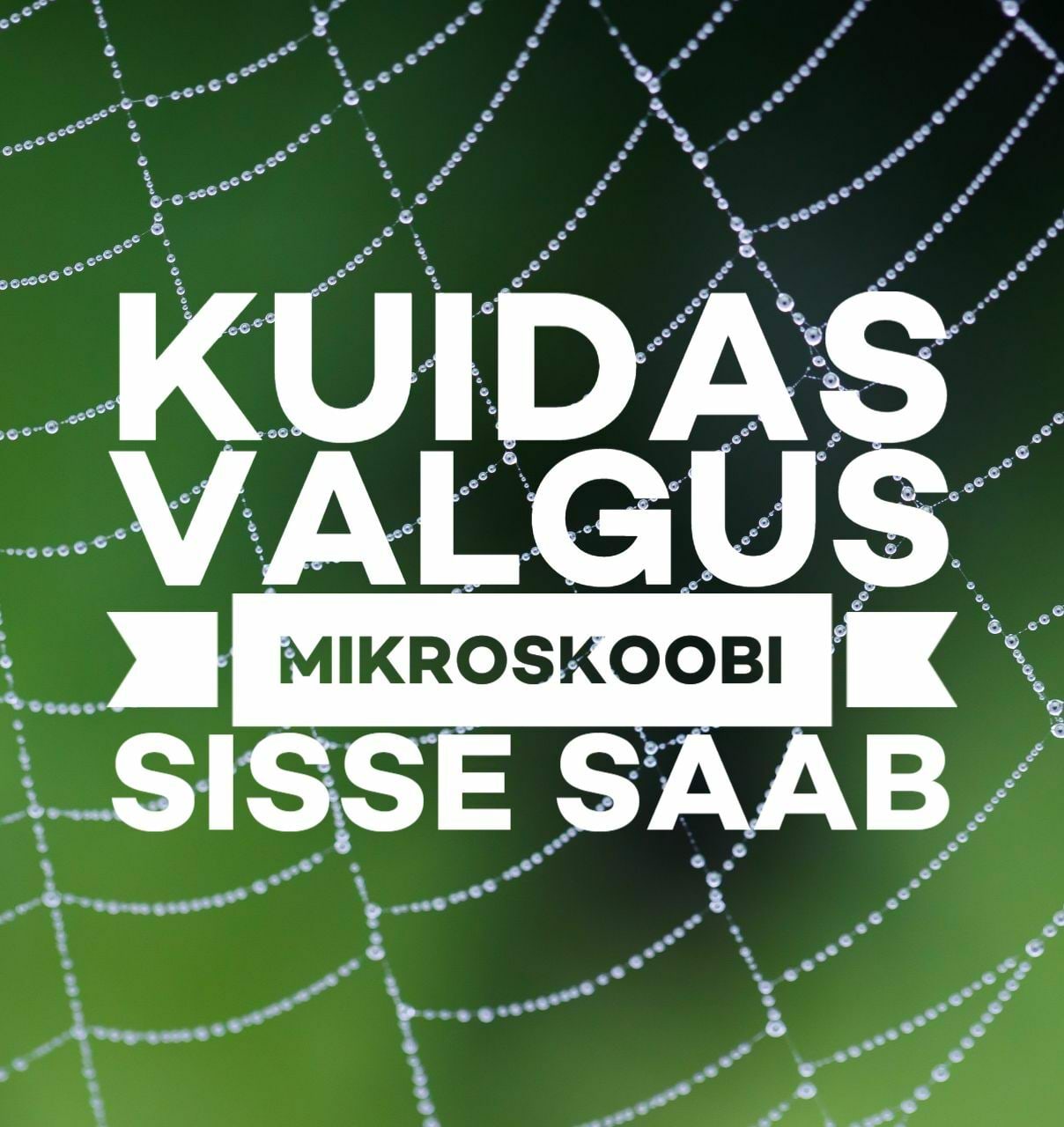 Mesilane 5/7 kaanepilt